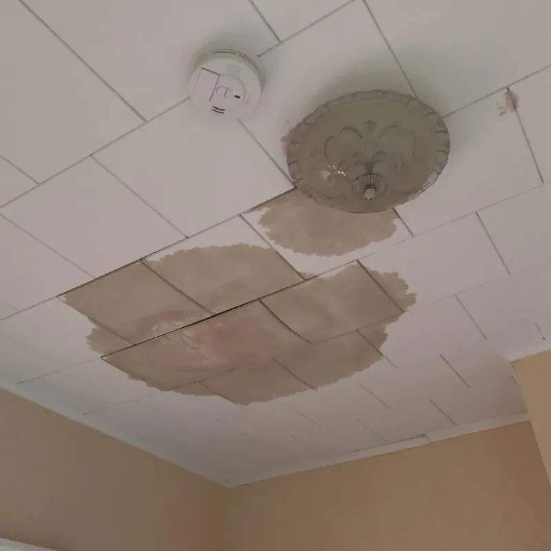 Ceiling Water Damage Repair in Weakley County, TN