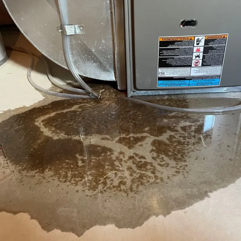 Pipe Burst and Leak Restoration in Weakley County, TN