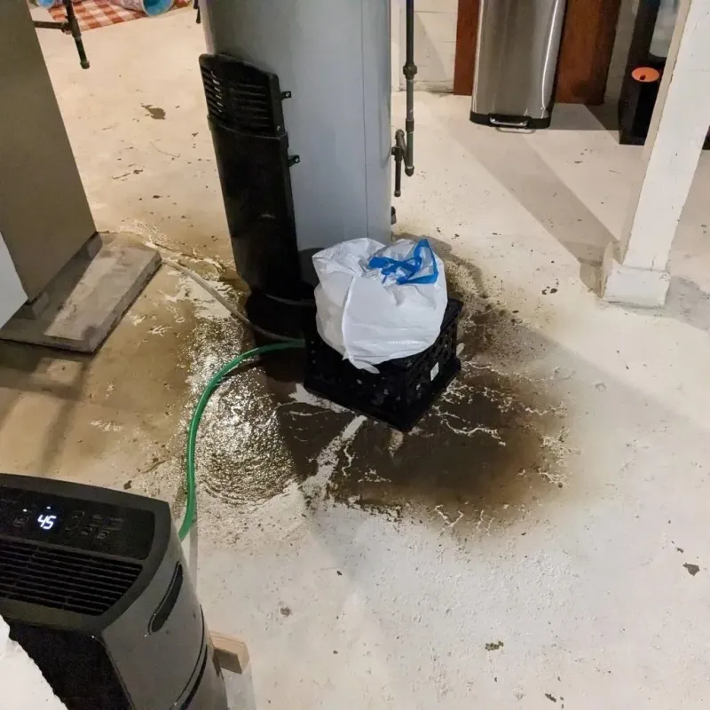 Sewage Backup Cleanup Service in Weakley County, TN